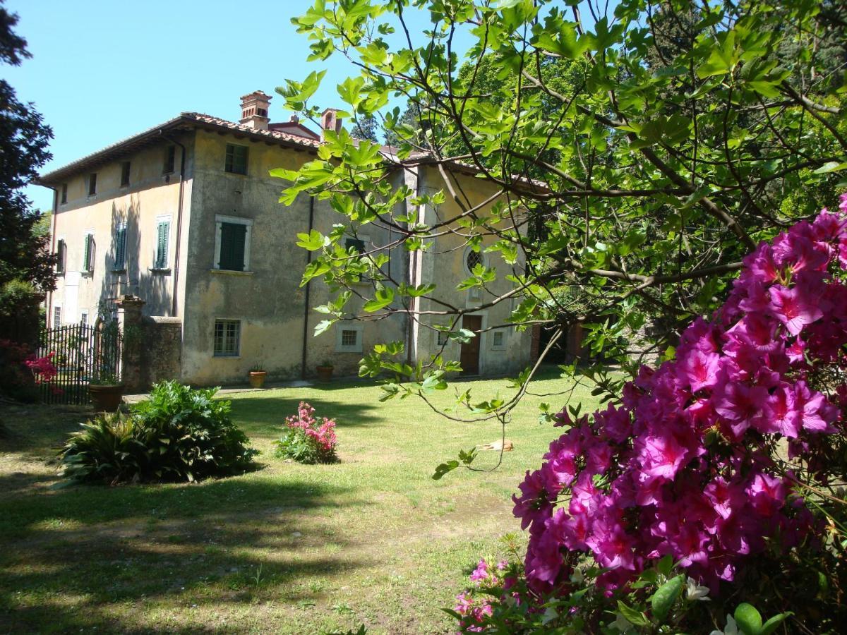 Bed & Breakfast Villa Masini-Luccetti Pietrasanta Dış mekan fotoğraf