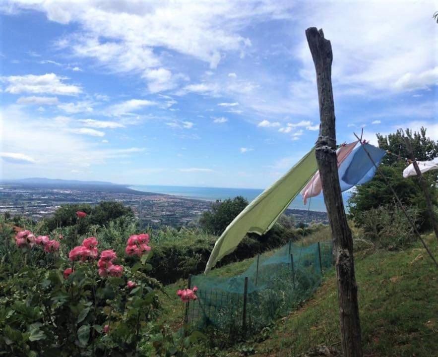 Bed & Breakfast Villa Masini-Luccetti Pietrasanta Dış mekan fotoğraf